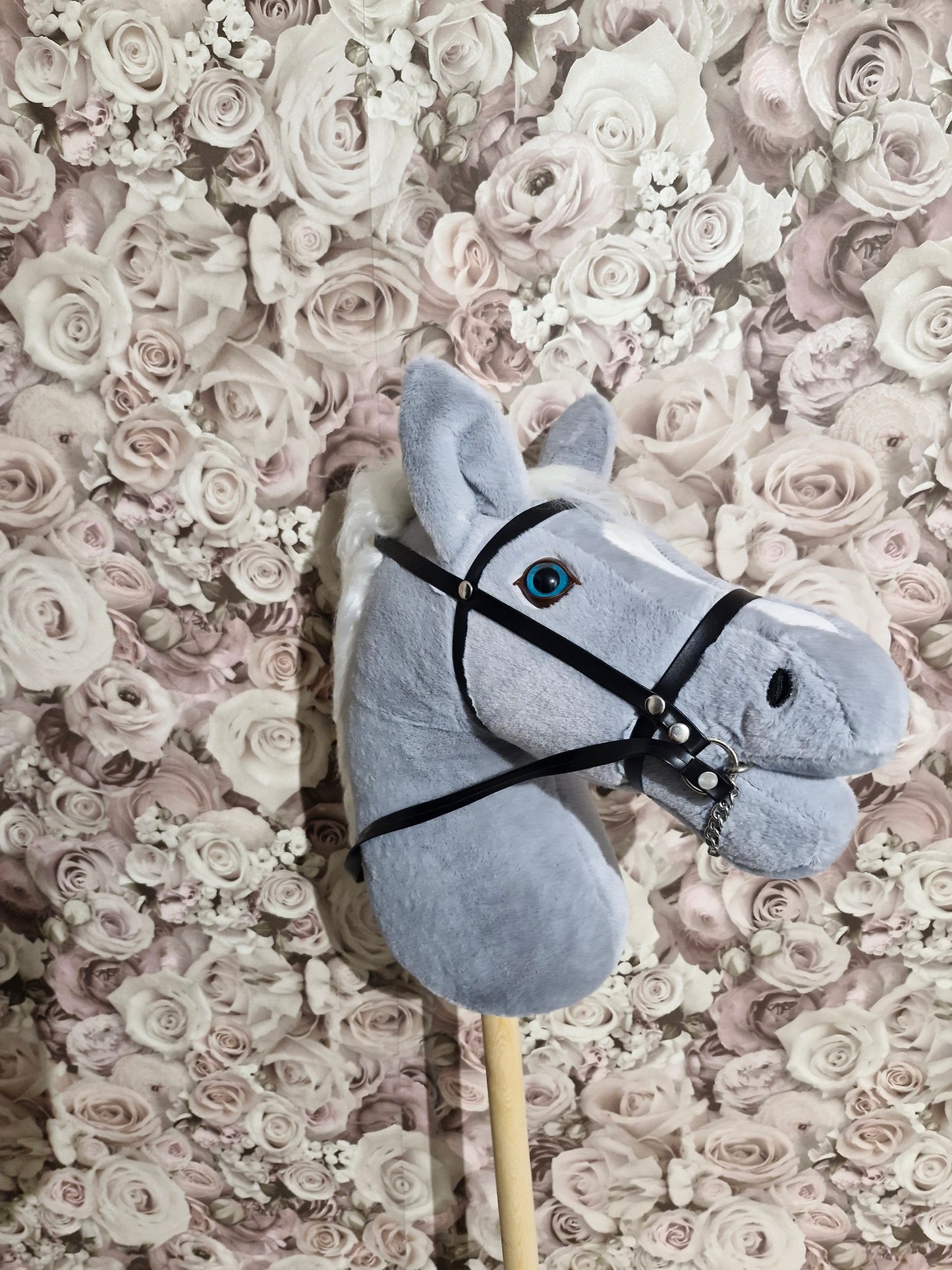 Hobby Horse Zkyward