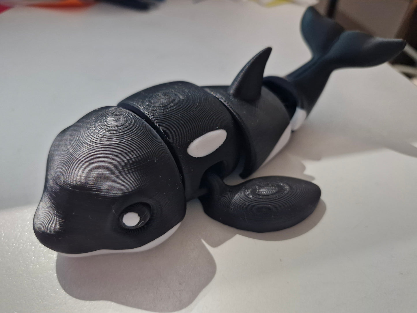3D Orka Wal