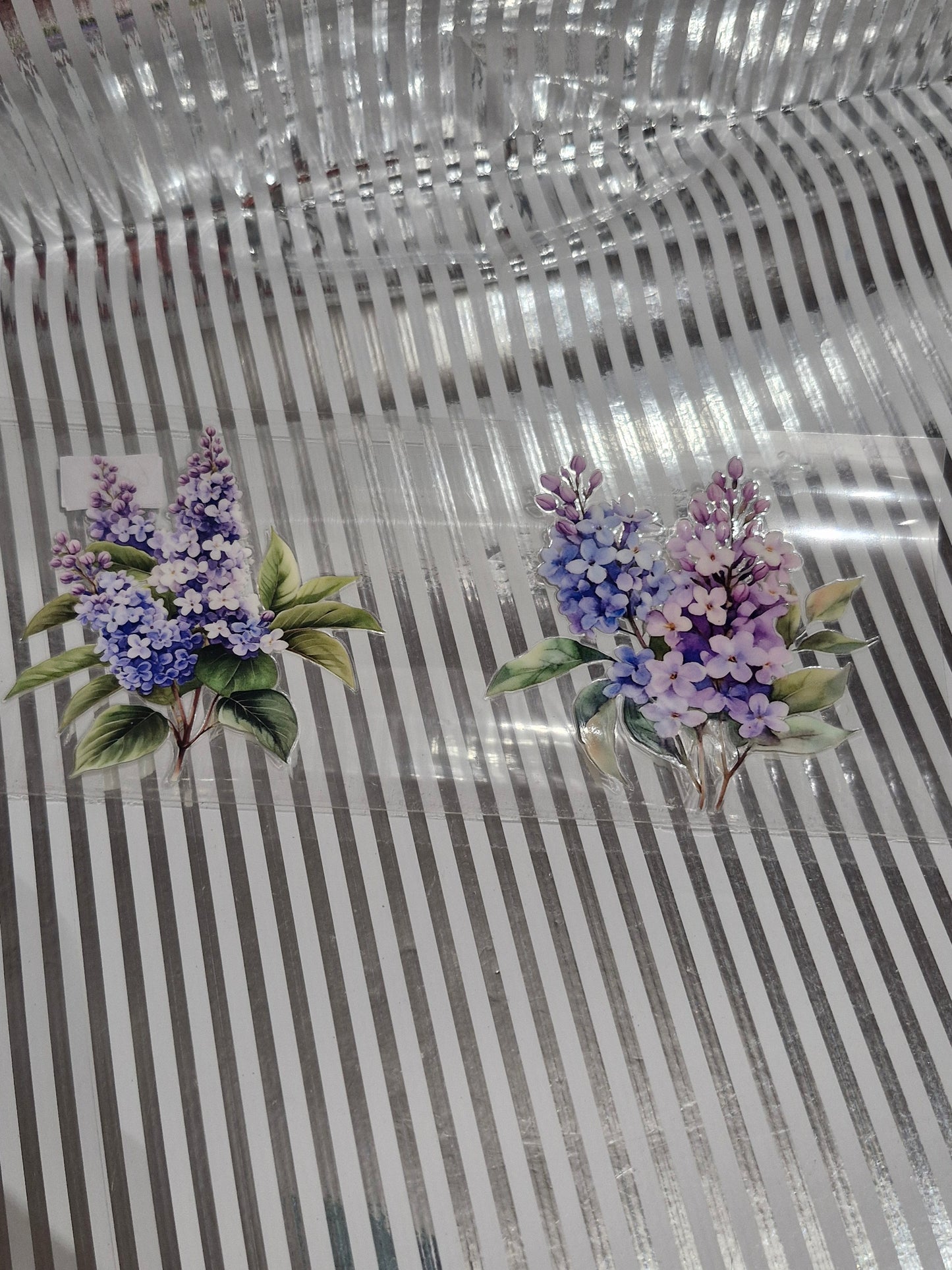 Blumen Motive
