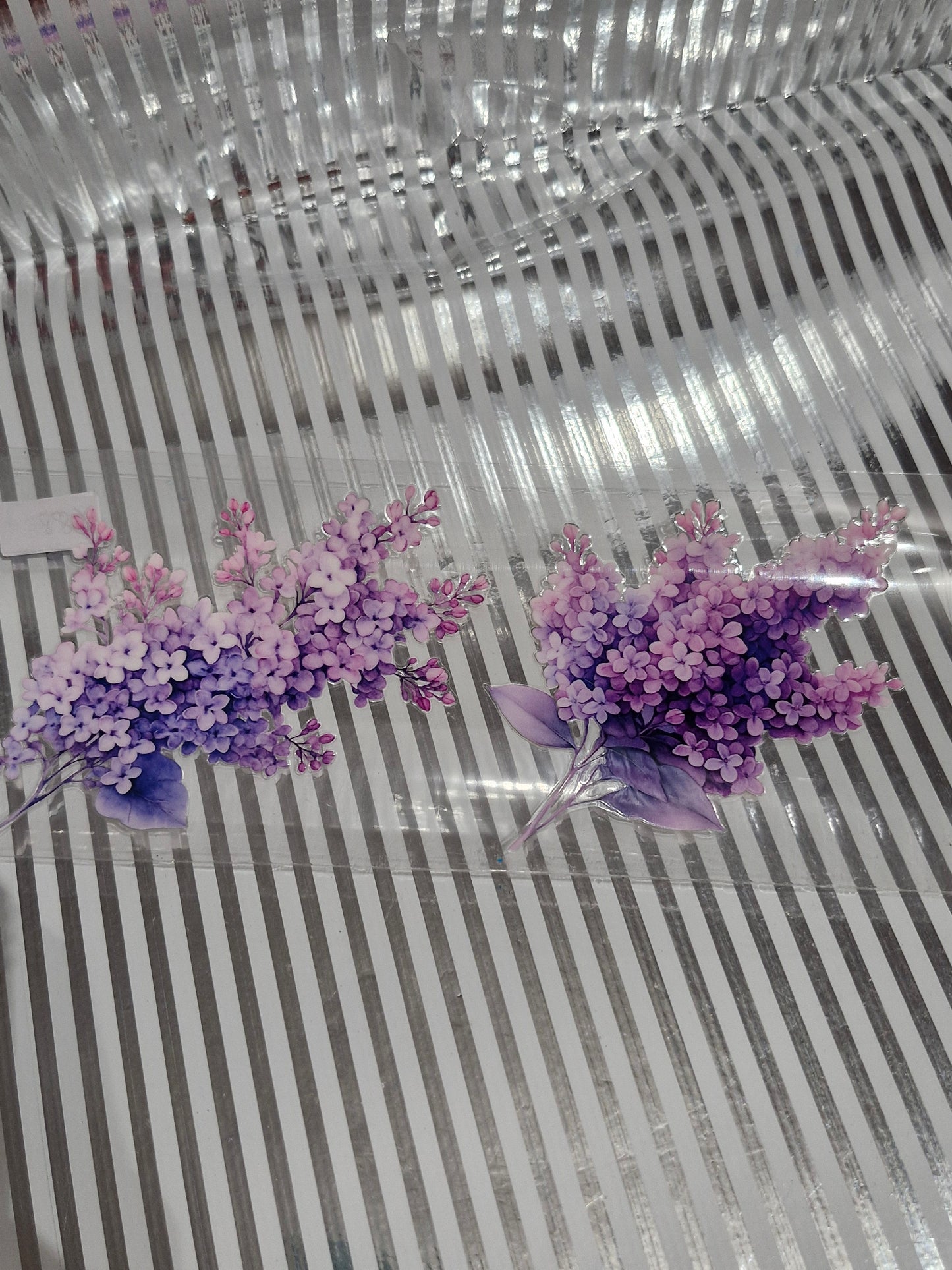 Blumen Motive