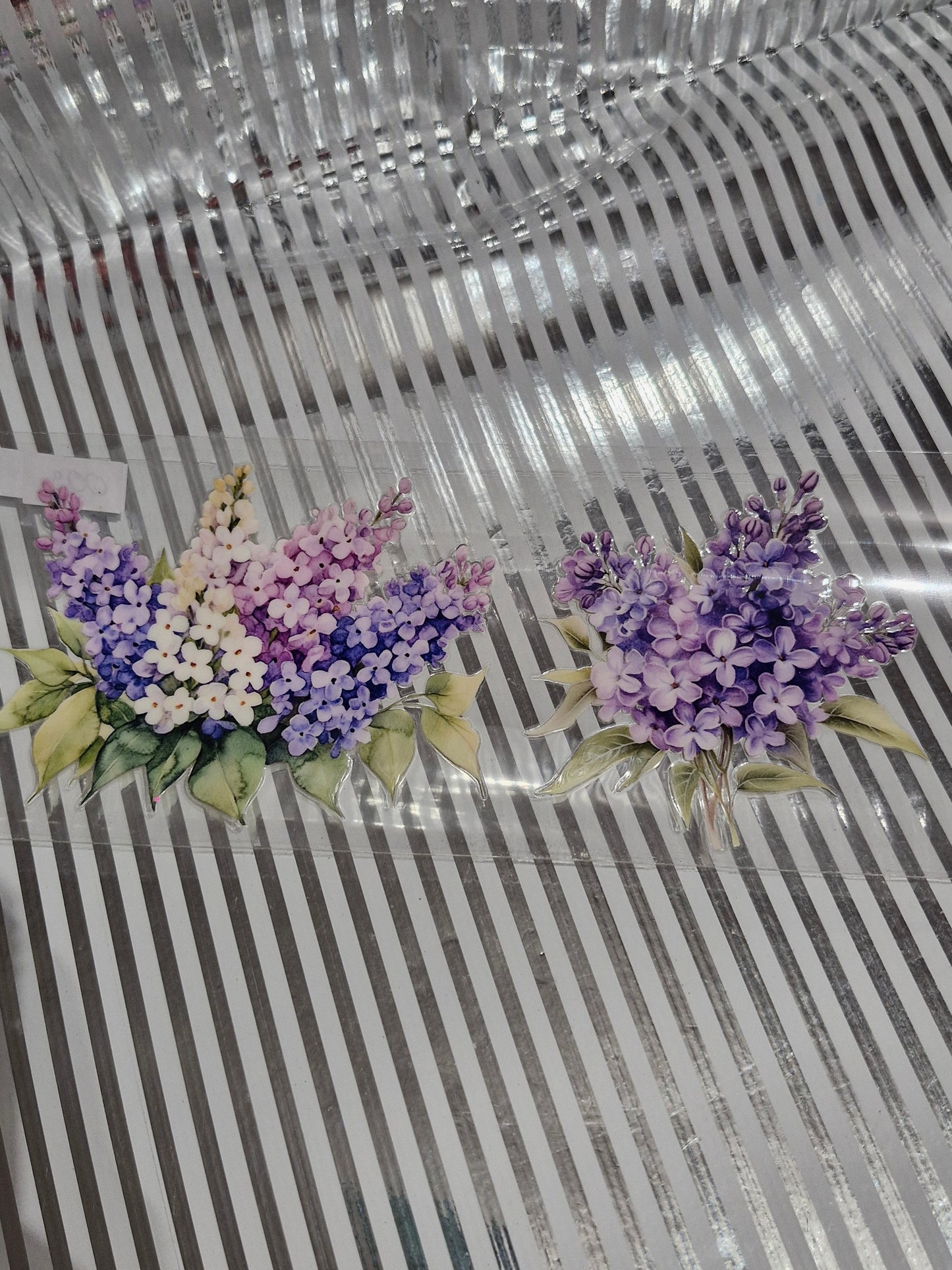 Blumen Motive