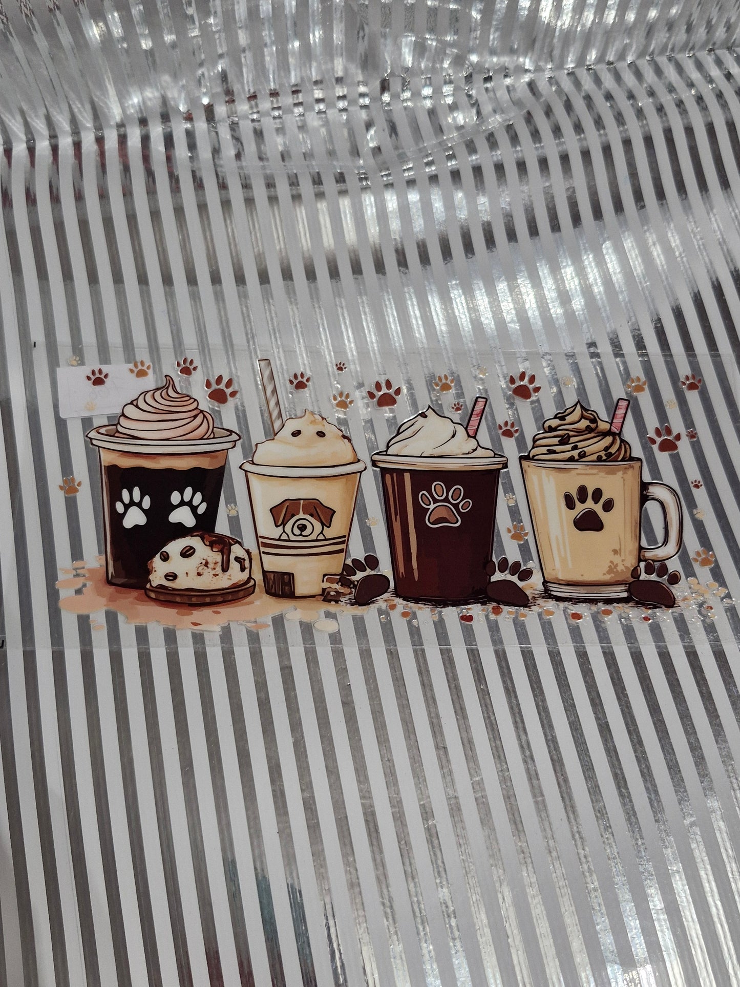 Hund / Katze  Motive
