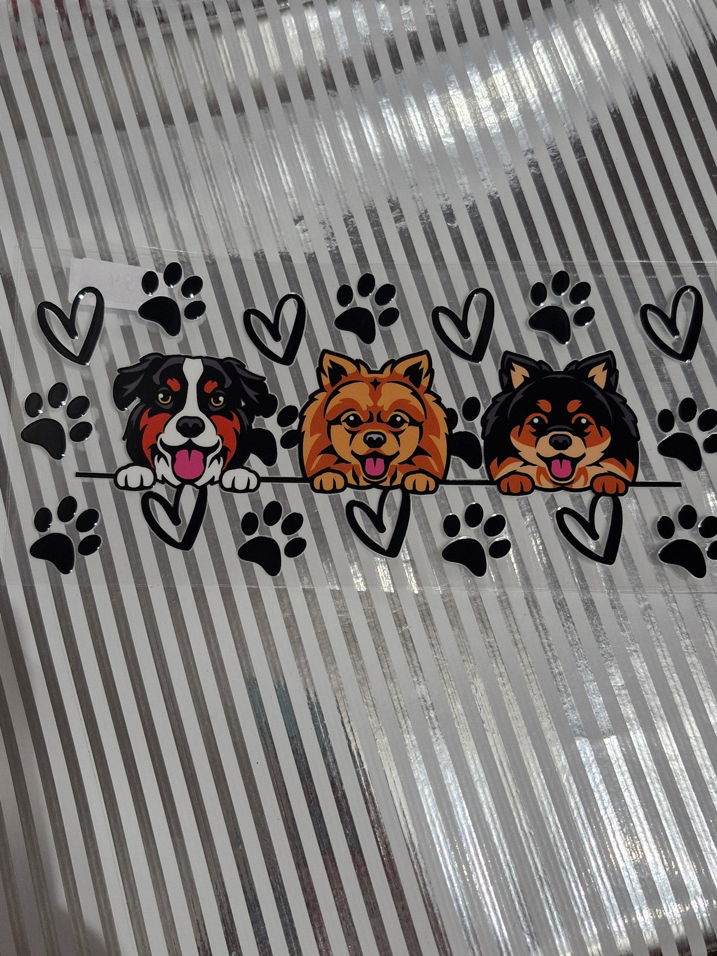 Hund / Katze  Motive