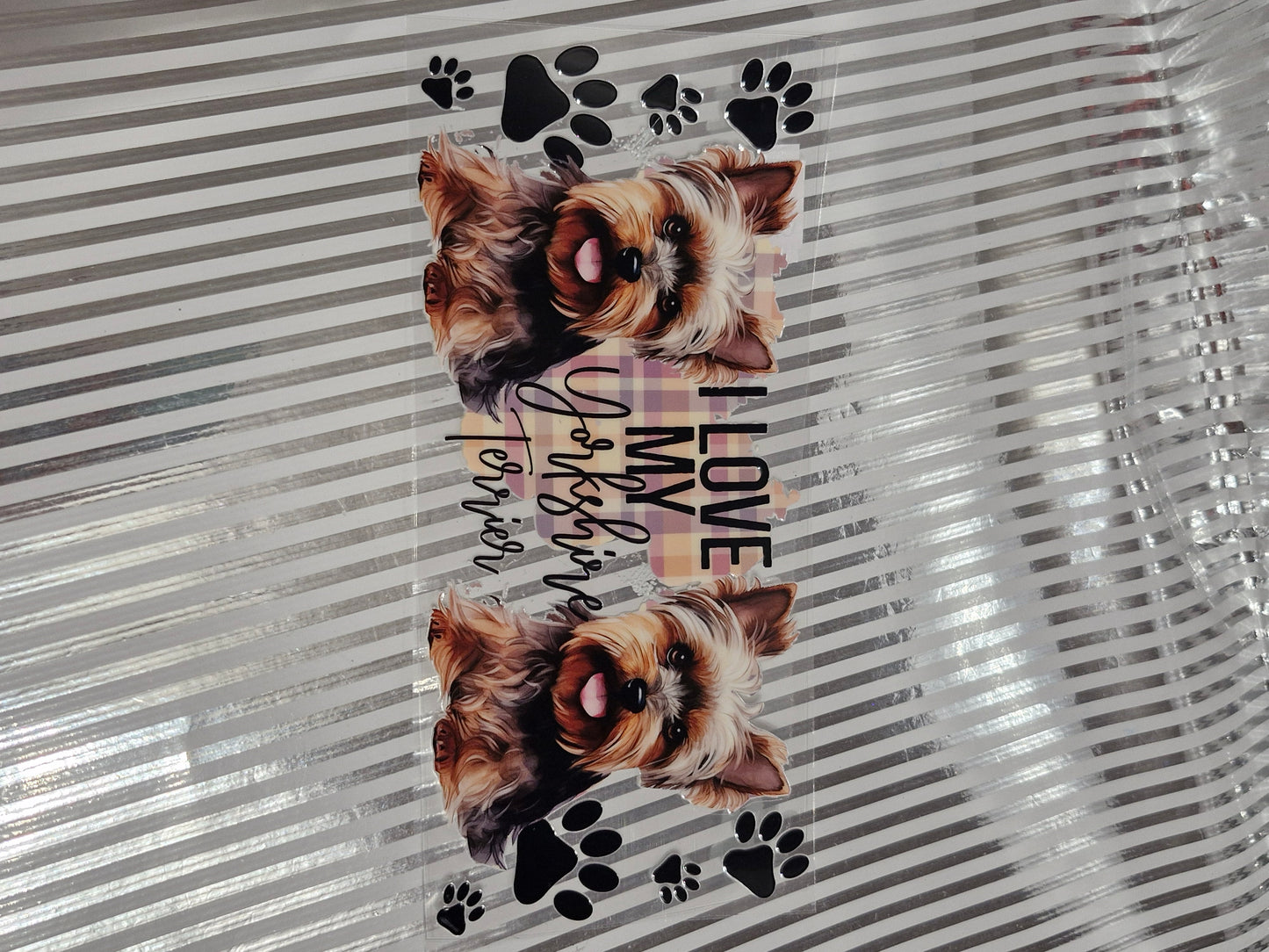 Hund / Katze  Motive