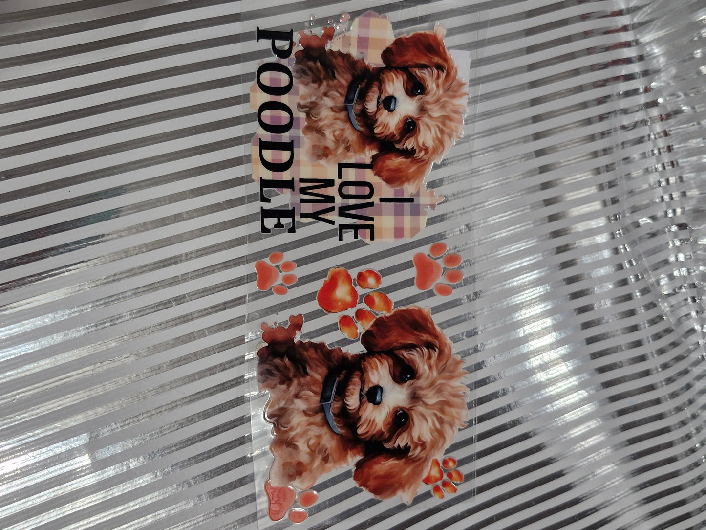Hund / Katze  Motive