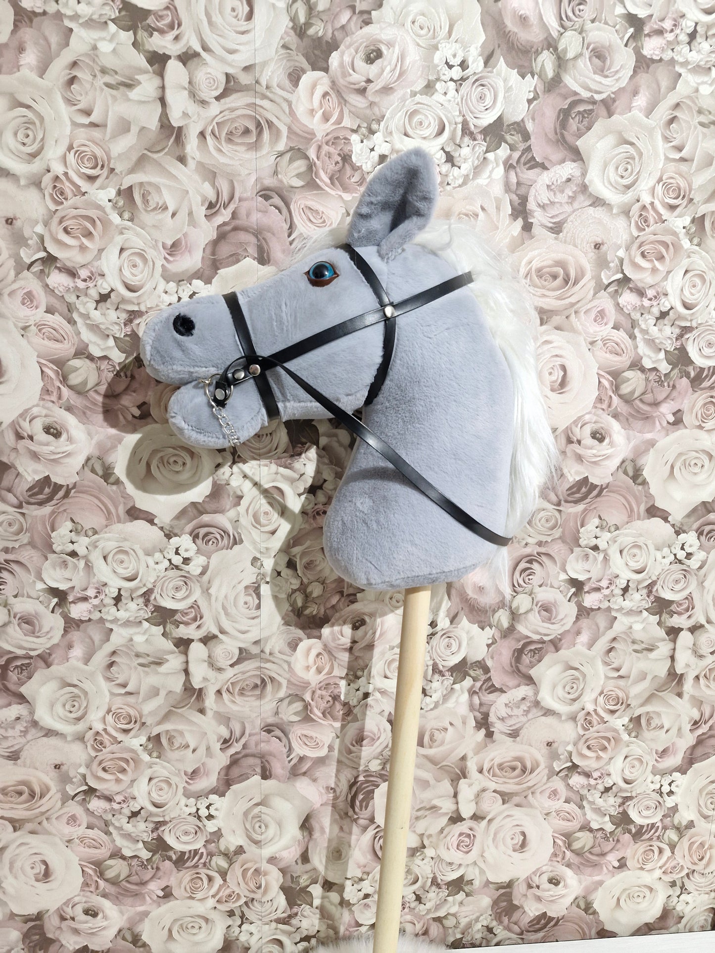 Hobby Horse Zkyward