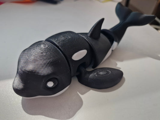 3D Orka Wal